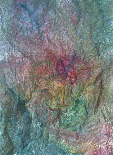 DSC01100